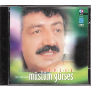 Download track Yaşadında Ne Gördün Müslüm Gürses