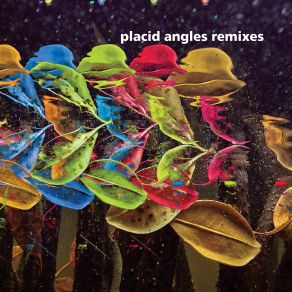 Download track Sun (Placid Angles Bonus Track) Placid Angles