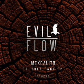 Download track Shut Up The F K (Original Mix) MexCalito