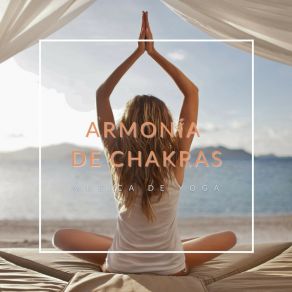 Download track Meditación Del Ser Musica De Yoga