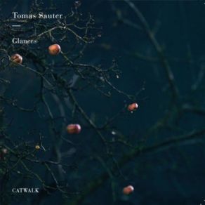 Download track Glances Tomas Sauter