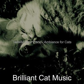 Download track Wonderful Solo Piano Jazz - Vibe For Cats Brilliant Cat Music