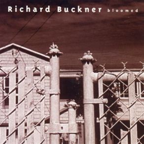 Download track Blue And Wonder Richard Buckner