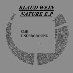 Download track Raider (Original Mix) Klaud Wein