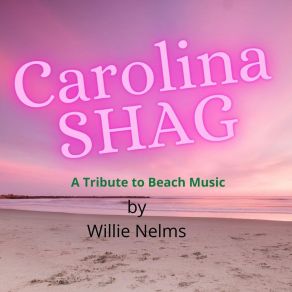 Download track Summer Love Willie Nelms