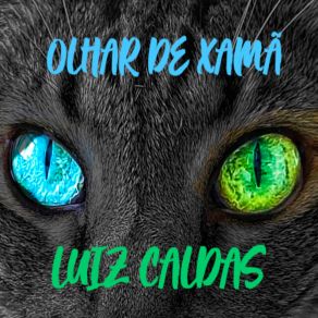 Download track Tocar O Céu Luiz Caldas