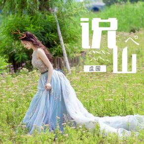 Download track 说山（DJ版）伴奏 Zhuang Yuan