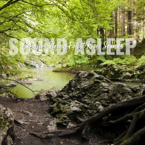 Download track Cohesive Strong Forest River Sounds, Pt. 19 Elijah Wagner