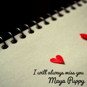 Download track See You Again Maya Puppy