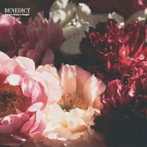 Download track Finish The Wine (Acoustic) Benedict