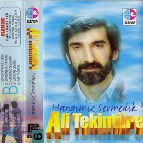 Download track Engel Çıktı Aramızda Ali Tekintüre