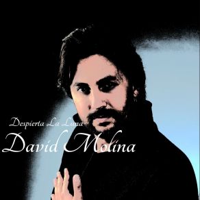 Download track Despierta La Luna David Molina