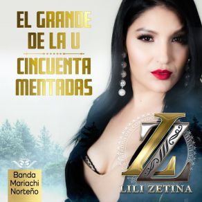 Download track Te Cobraron Caros Los Años LILI ZETINA