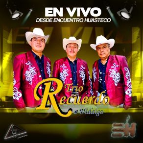 Download track Recordando A Hidalgo (En Vivo) Trio Recuerdo A Hidalgo