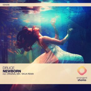 Download track Newborn Skua