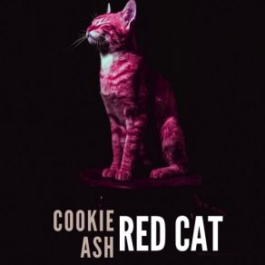 Download track To Melt Away Cookie Ash