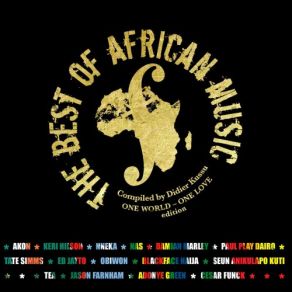 Download track Africans Nneka