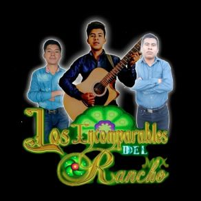 Download track Polka Infinito Los Incomparables Del Rancho Mx