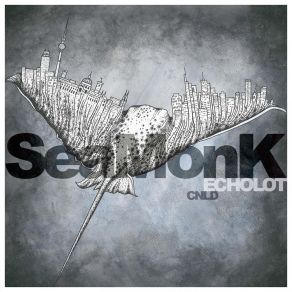 Download track Echo III (Original Mix) Seamonk