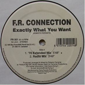 Download track Exactly What You Want (Radio Mix) F. R. Connection