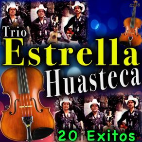 Download track EL GUSTO Trio Estrella Huasteca