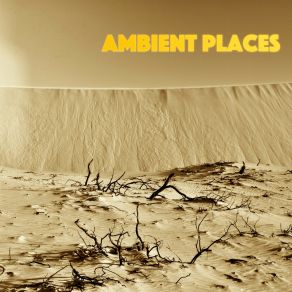 Download track Ambient Place (Continuous DJ Mix) P. M. Fm