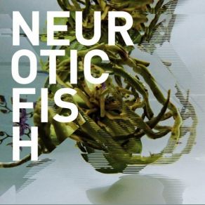 Download track Illusion Of Home Neuroticfish