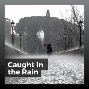 Download track Rain Productive Natsound