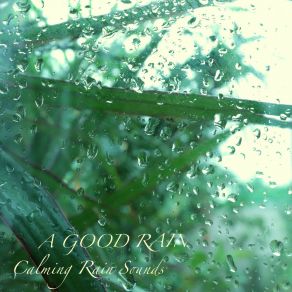 Download track Soft Rain To Fall Asleep A Good Rain