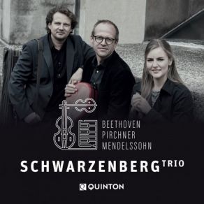 Download track Klaviertrio D-Moll Opus 49: I. Molto Allegro Ed Agitato Schwarzenberg Trio