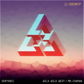 Download track Mr. Chaman (Original Mix) Skryonic