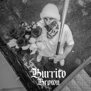 Download track Flor De Calabasa Burrito Brown