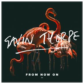 Download track Soul To Save (Talk Club Charity Single) Gavin Thorpe