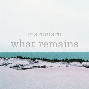 Download track Flower Shirt Maromaro