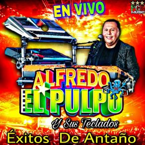 Download track Fiesta Sureña (Version En Vivo) Sus Teclados