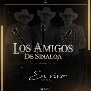 Download track Renunciacion (En Vivo) De Sinaloa