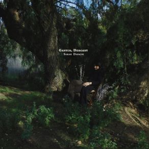 Download track Canyon Walls Sarah Davachi