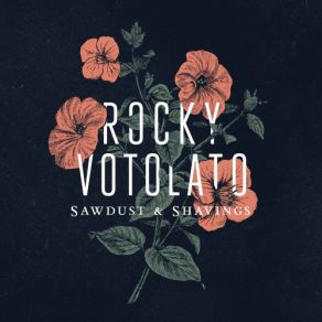 Download track Hospital Handshakes Rocky Votolato