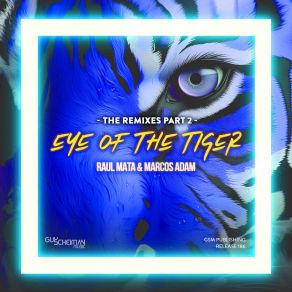 Download track Eye Of The Tiger (Rashad Miraz Remix) Adam MarcosRashad Miraz