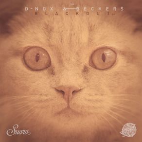 Download track Casual Friday (Original Mix) D - Nox & Beckers