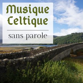 Download track Harpe Paisible Et Violon Musique Celtique EnsembleViolon