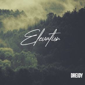 Download track Intro Dreidy