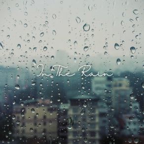 Download track In The Rain EGIS