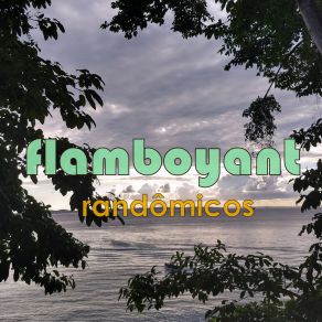 Download track Flamboyant Randômicos