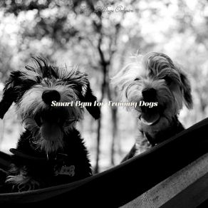 Download track Uplifting Ambiance For Training Dogs Music For Dogs Orchestra