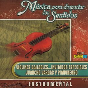 Download track Palmira Señorial (Instrumental) Violines Bailables