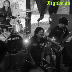 Download track Bastard Government Tigabelas