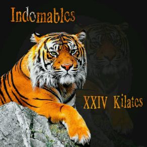 Download track La Dura Indomables