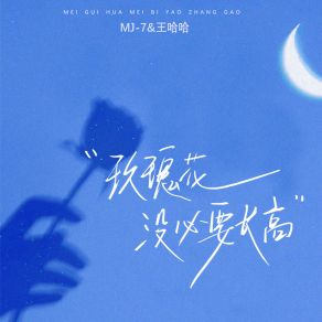 Download track 玫瑰花没必要长高 (伴奏) 王哈哈