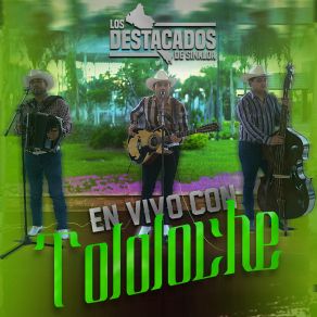 Download track Entre Copa Y Copa (En Vivo) De Sinaloa